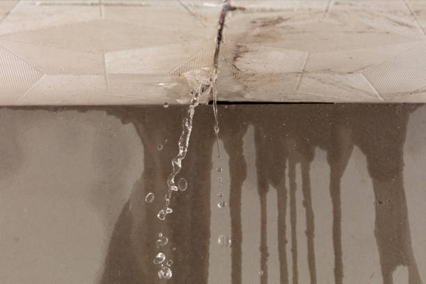 Professional Sewage Cleanup technician working in Rossville, IL